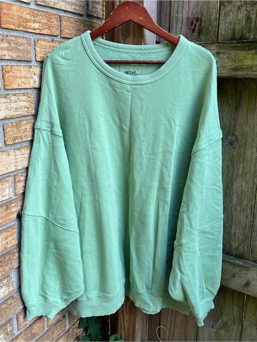 Aerie Oversized Light Green Crewneck Sweatshirt w Embroidery